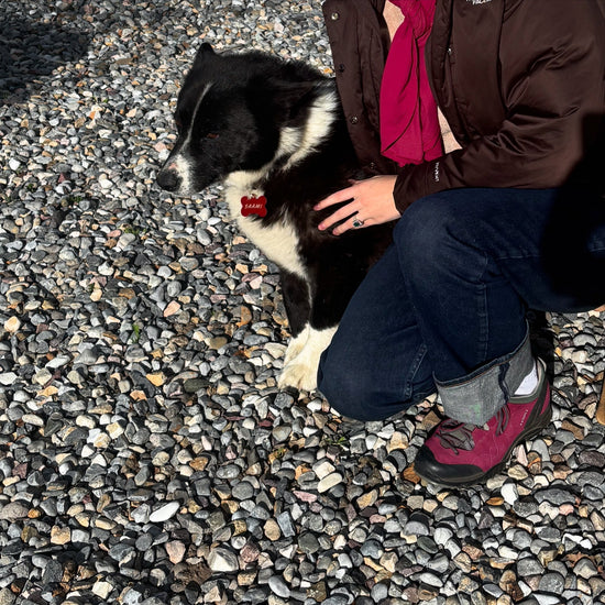 Growing Up With Karelian Bear Dogs: 5 Things I Learned About The Breed
